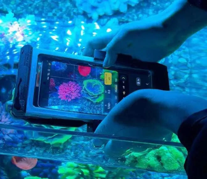 Еволюція Galaxy S26 та Ocean Mode